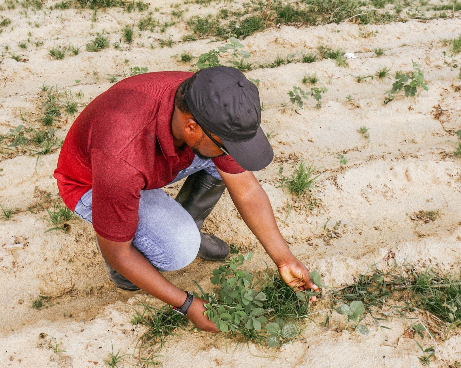 Agriculture & Food Systems initiative