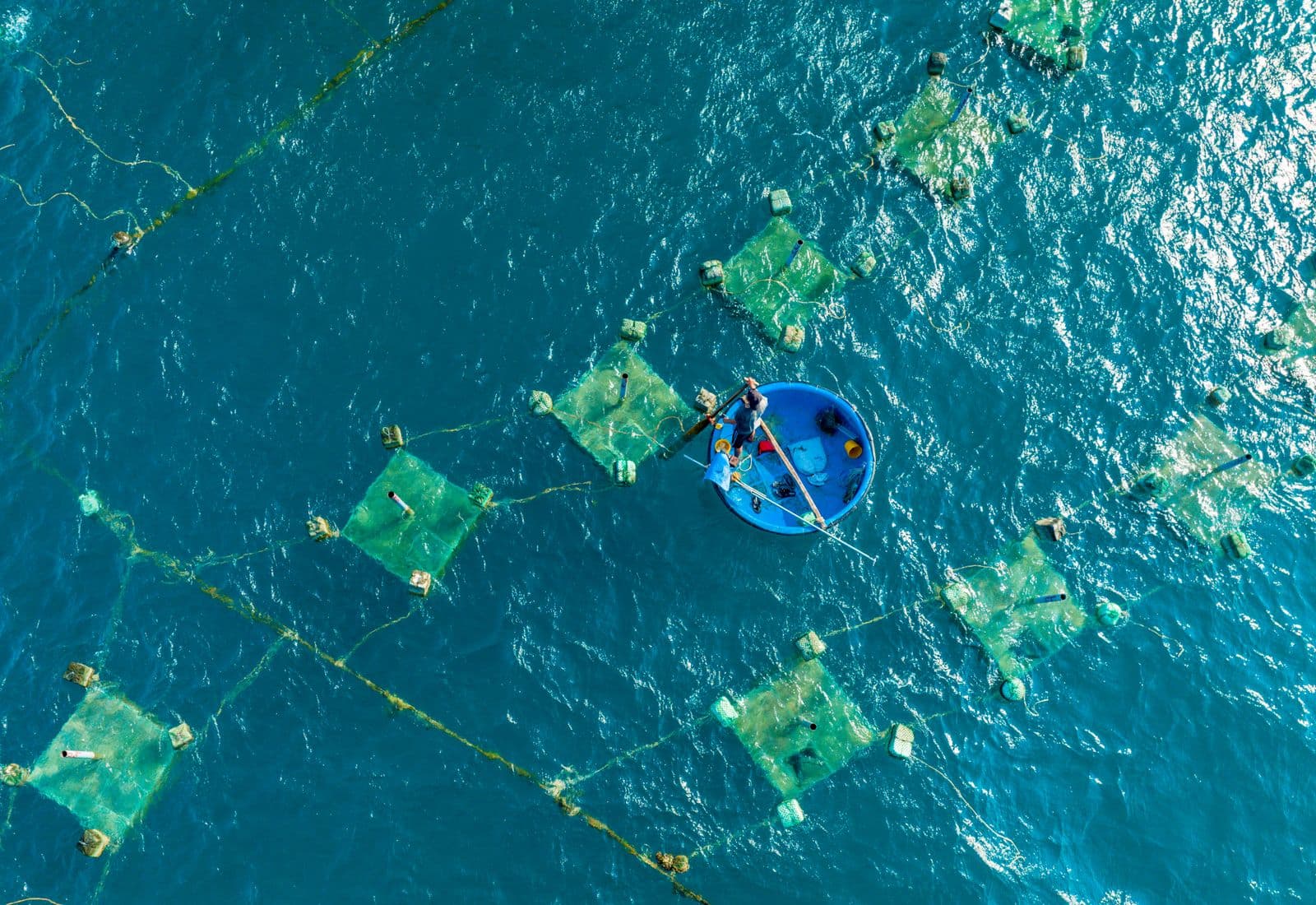 FishDeC initiative