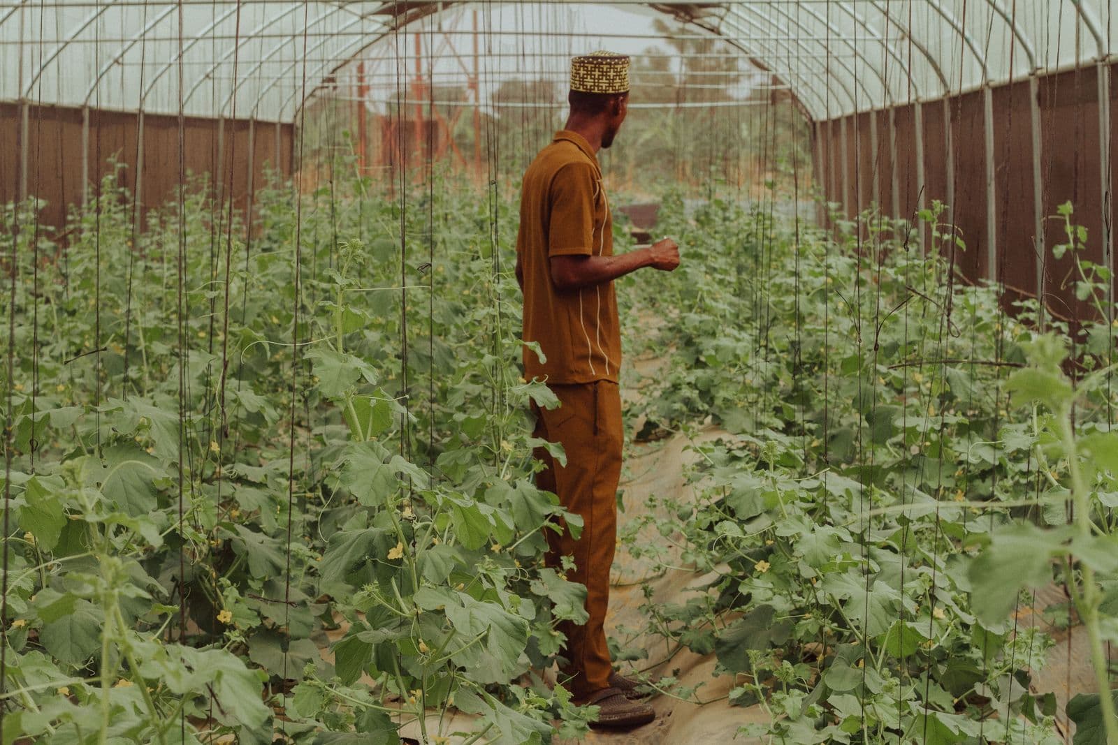Catalyst AgTech Program initiative